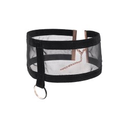 SPORTSHEETS Sex & Mischief Sheer Day Collar Schwarz/Gold