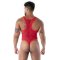 TOF Fluid Lace Open Bodythong Rot