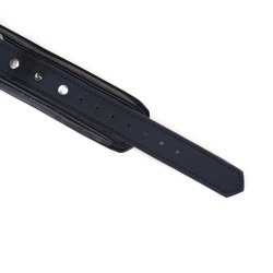 LIEBE SEELE Vegan Fetish Halsband mit D-Ringen, Nieten & Leine