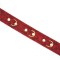 LIEBE SEELE Kinbaku Ukiyoe Luxury Leather Collar Red Rosy