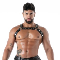 TOF Kinky Bulldog Harness Schwarz