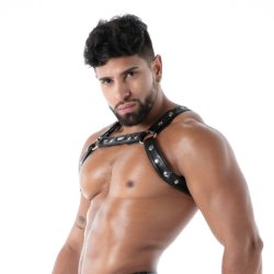 TOF Kinky Bulldog Harness Schwarz