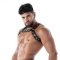 TOF Kinky Bulldog Harness Schwarz