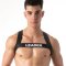LEADER Essentials Harness Schwarz