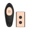ROSY GOLD C-Shape Paar-Vibrator mit Fernbedienung & Lade-Case Schwarz