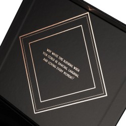 ROSY GOLD Licking Stimulator mit Vibration & Lade-Case