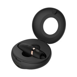 ROSY GOLD Licking Stimulator mit Vibration & Lade-Case