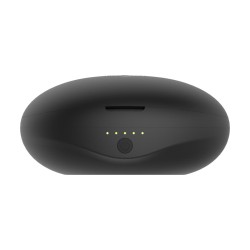 ROSY GOLD Licking Stimulator mit Vibration & Lade-Case