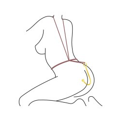 TABOOM Luxury Anal Hook Gold