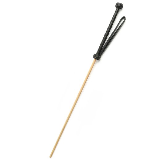 HIDDEN DESIRE Extreme The Obedience Cane