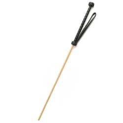 HIDDEN DESIRE Extreme The Obedience Cane