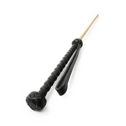 HIDDEN DESIRE Extreme The Obedience Cane