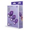 B-VIBE Jewel Butties Bundle mit 3 Anal-Plugs Violett