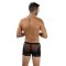 ENVY Sheer Contrast Boxer Briefs Schwarz OS