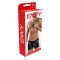 ENVY Sheer Contrast Boxer Briefs Schwarz OS