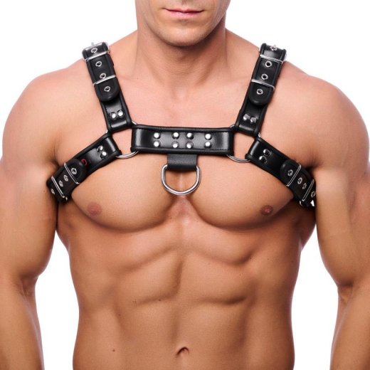 THE RED Premium Leder Bulldog Harness Schwarz/ Silber