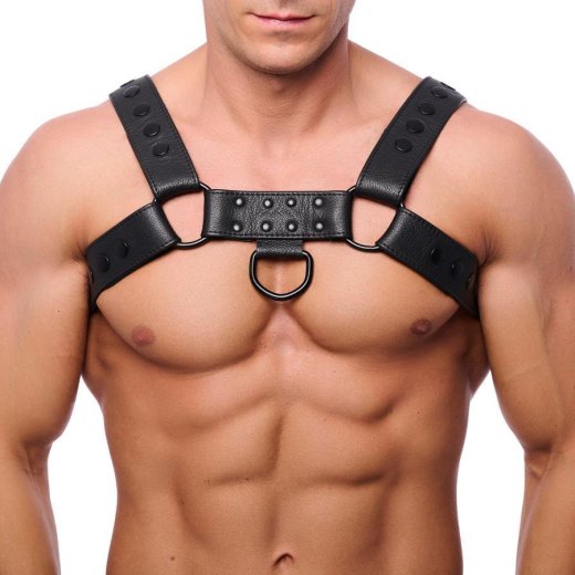 THE RED Bulldog Lederharness mit Druckknöpfen Schwarz