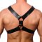 THE RED Lederharness Schwarz