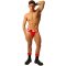 FIST Jockstrap Rot