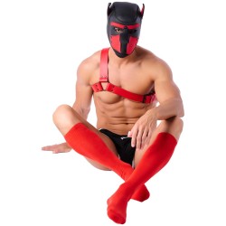 SNEAKXX COLORS Hohe Socken Rot One Size