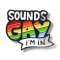 KINKY PLEASURE Pin "Sounds Gay"