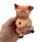 KINKY PLEASURE Moody Oinker Grumpy Nude Pig