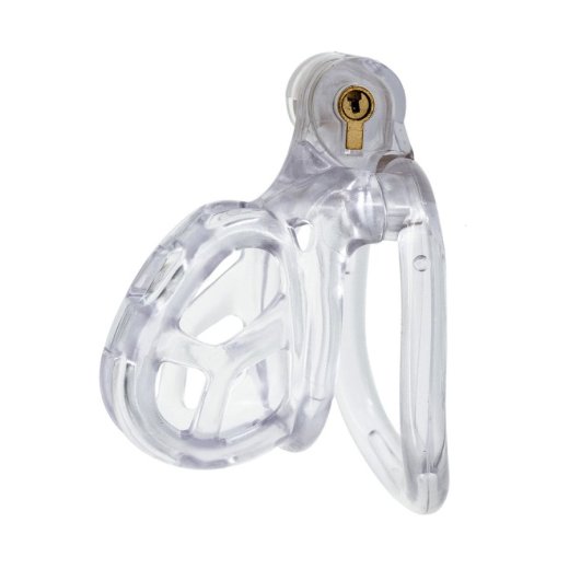 COCKLOCK Robat-Käfig Medium 5,5 x 3,3 cm Transparent