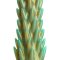 XR PLAY HARD Creature Cocks Stegosaurus Spiky Reptile Dildo Grün