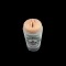 ADRIEN LASTIC Beer Masturbator Vaginal aus TPE Beige