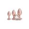 NS NOVELTIES Rear Assets Iridescent Trainerr Anal-Plug 3er-Set mit Zierstein Rosé-Gold