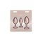 NS NOVELTIES Rear Assets Iridescent Trainerr Anal-Plug 3er-Set mit Zierstein Rosé-Gold