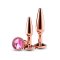 NS NOVELTIES Rear Assets Anal-Plug 2er-Set Rosé-Gold