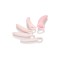 CALEXOTICS Inspire Vaginal Dilator Set 5-teilig aus Silikon Rosa