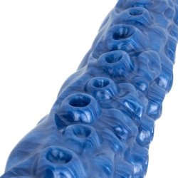 MYTHICAL MATES Kraken`s Grasp Tenakel Dildo Ø 6.0 cm blau