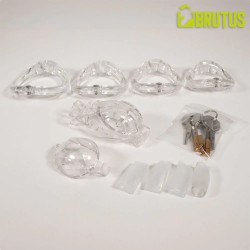 BRUTUS Doorman Chastity Cage Transparent