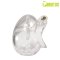 BRUTUS Orb Chastity Cage Transparent