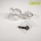 BRUTUS Orb Chastity Cage Transparent
