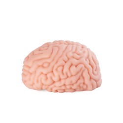 XTC JAPAN Brain Hacker DX Masturbator Beige