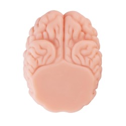 XTC JAPAN Brain Hacker DX Masturbator Beige