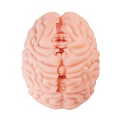 XTC JAPAN Brain Hacker DX Masturbator Beige
