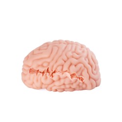 XTC JAPAN Brain Hacker DX Masturbator Beige
