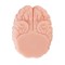 XTC JAPAN Brain Hacker DX Masturbator Beige