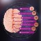 XTC JAPAN Brain Hacker DX Masturbator Beige