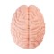 XTC JAPAN Brain Hacker DX Masturbator Beige