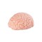 XTC JAPAN Brain Hacker DX Masturbator Beige