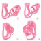 COCKLOCK Splitlock Peniskäfig Small 4 x 3.5 cm Pink