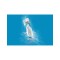 FRÖHLE Fröhlube Aqua Medizinisches Gleitgel 250 ml