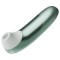 WOMANIZER Pro Druckwellen-Stimulator Salbeigrün