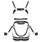 ZADO Harness-Set aus Leder Schwarz