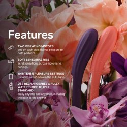 LELO Boomerang Dual Ended Vibrator mit  App-Steuerung Purple